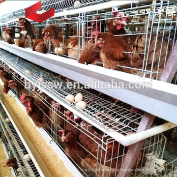 Chicken Roosting Cage Chicken Breeding Cage